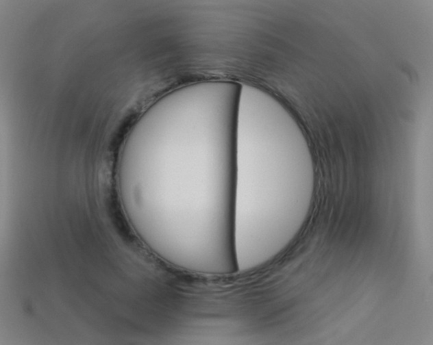 X0000114160739200910081133