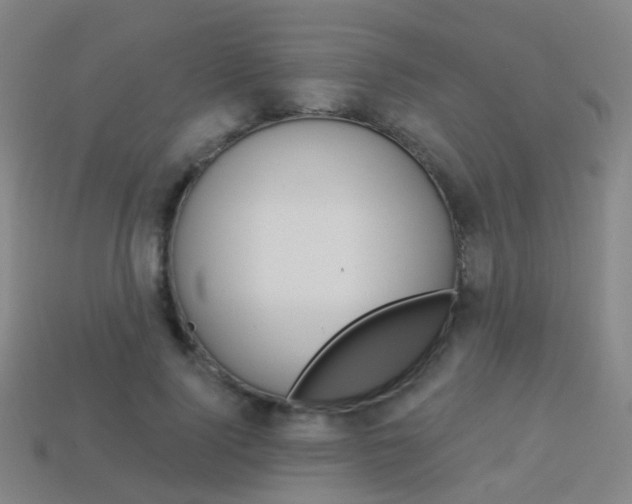 X0000114160740200910081133