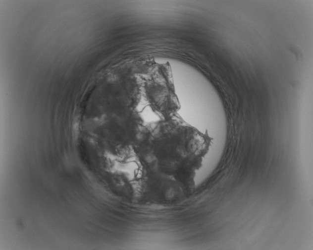 X0000114160741200910081133