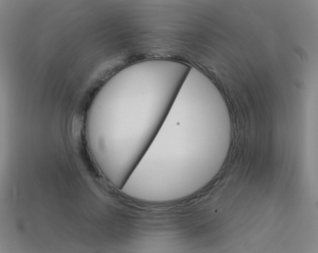 X0000114160742200910081133