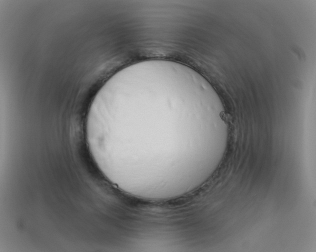 X0000114160743200910081133