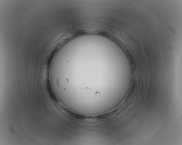 X0000114160744200910081133