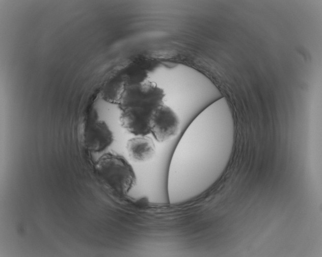 X0000114160745200910081133