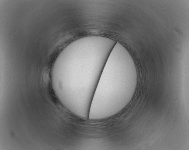 X0000114160746200910081133