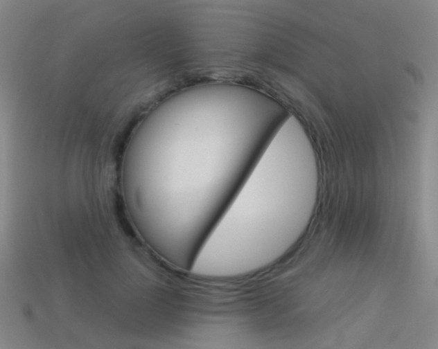 X0000114160748200910081133