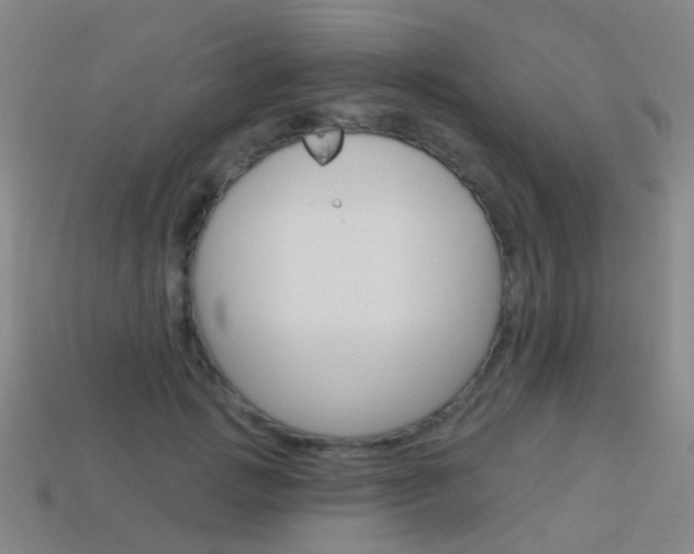 X0000114160749200910081133