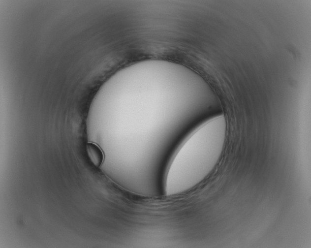 X0000114160750200910081133