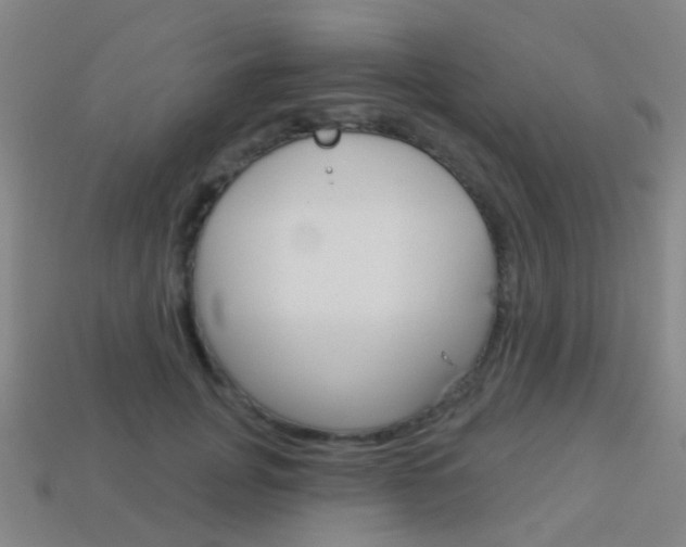 X0000114160751200910081133