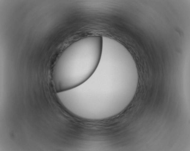 X0000114160752200910081133