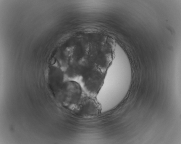 X0000114160753200910081133