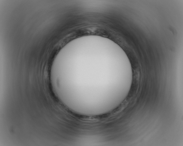 X0000114160754200910081133