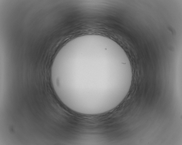 X0000114160756200910081133
