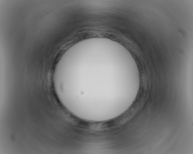 X0000114160757200910081133