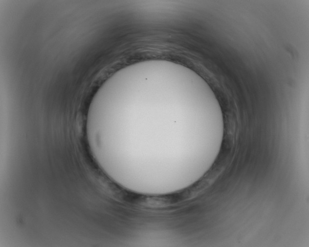 X0000114160758200910081133
