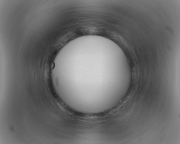 X0000114160760200910081133