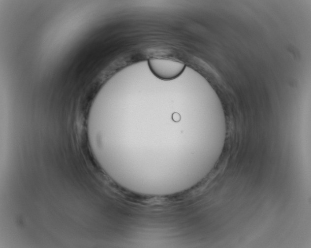 X0000114160761200910081133