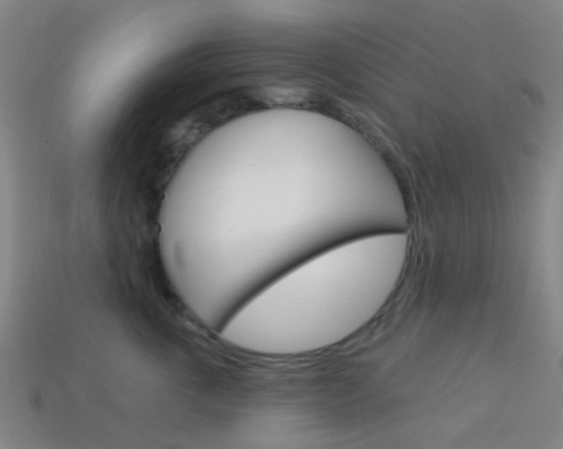 X0000114160763200910081133