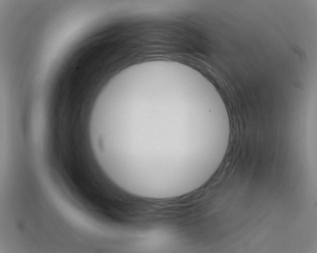 X0000114160764200910081133