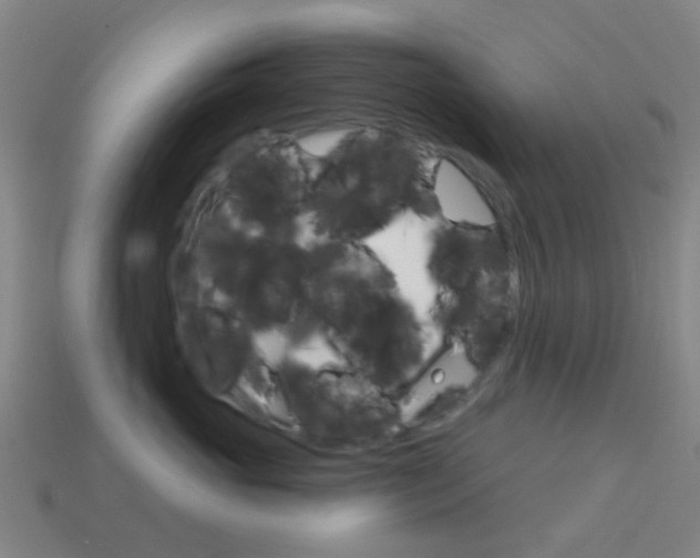 X0000114160765200910081133