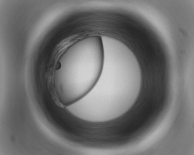X0000114160766200910081133