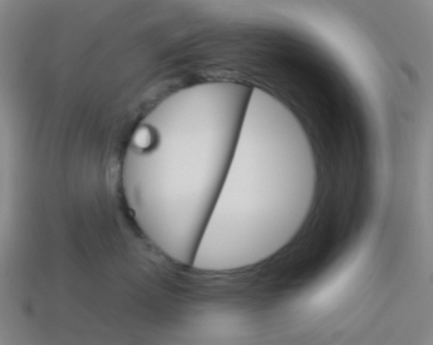 X0000114160767200910081133