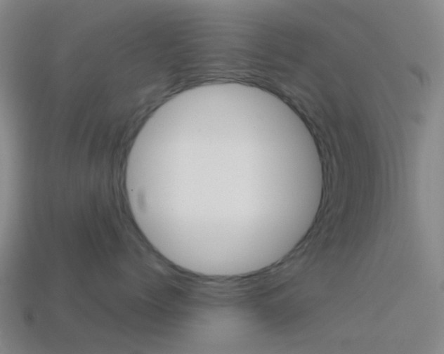 X0000114160768200910081133