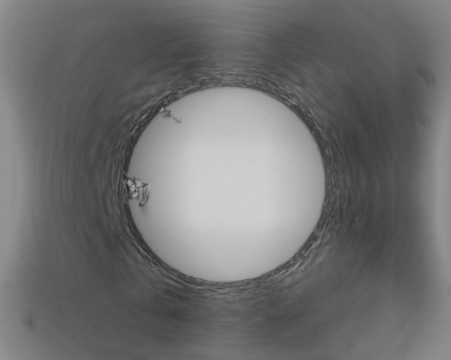 X0000114160769200910081133