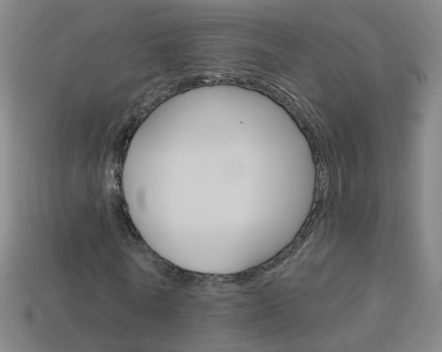 X0000114160770200910081133