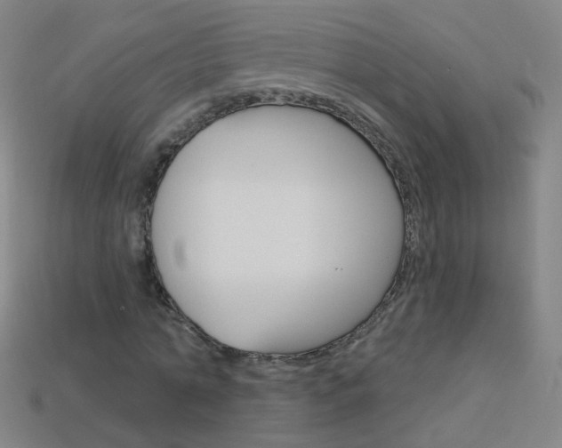 X0000114160774200910081133