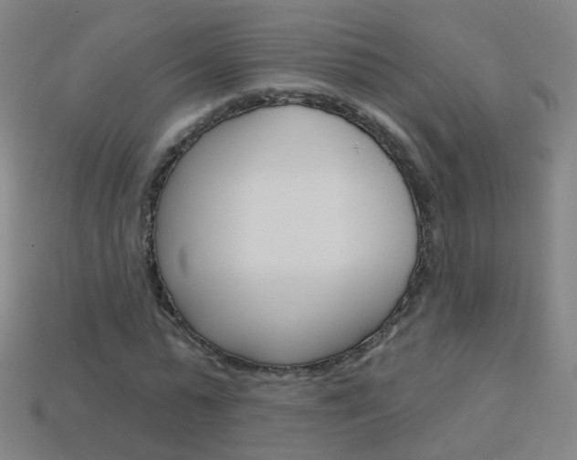 X0000114160775200910081133