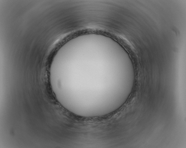 X0000114160776200910081133