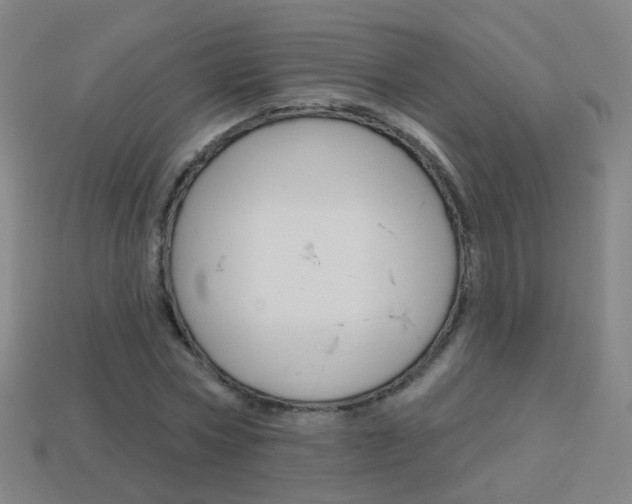 X0000114160778200910081133