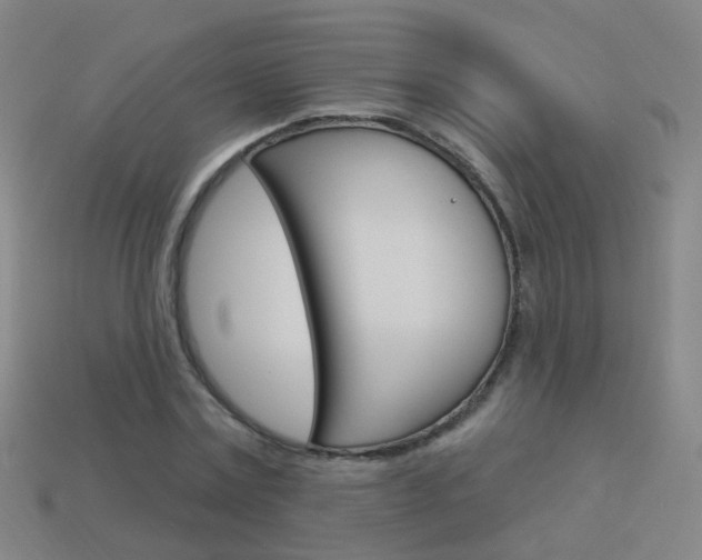 X0000114160779200910081133