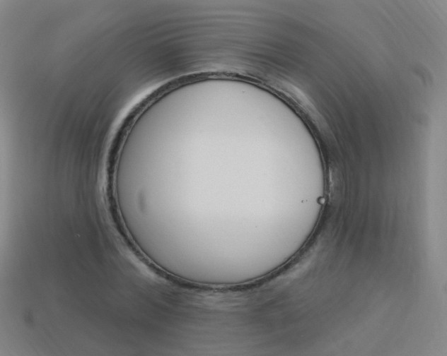 X0000114160780200910081133