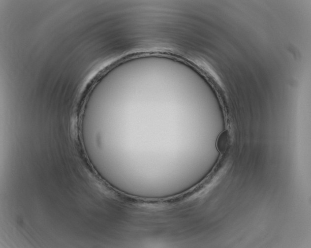 X0000114160781200910081133