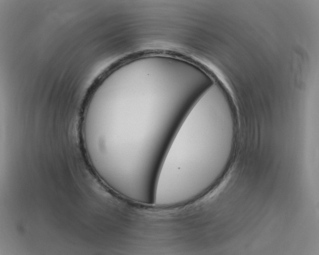 X0000114160783200910081133