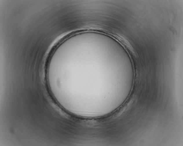 X0000114160784200910081133
