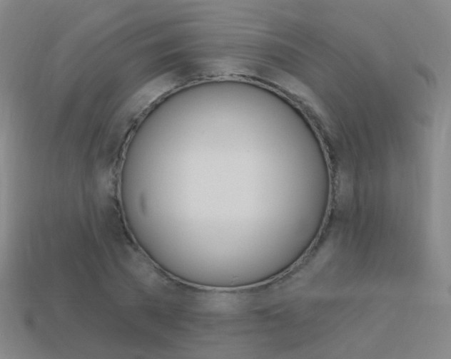X0000114160785200910081133