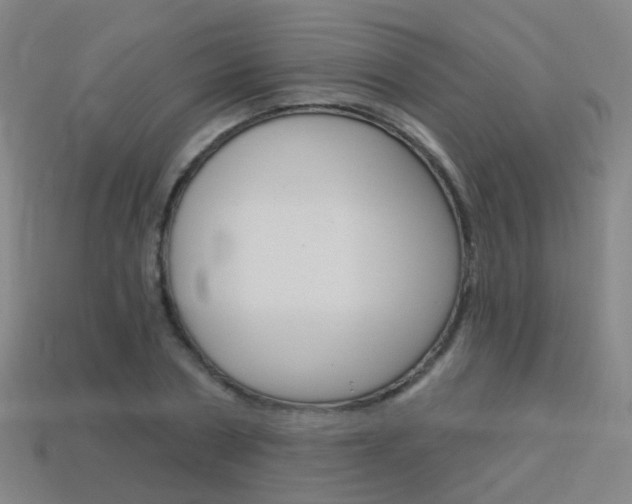 X0000114160786200910081132