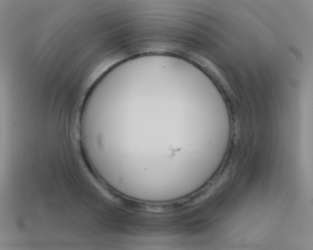 X0000114160794200910081132