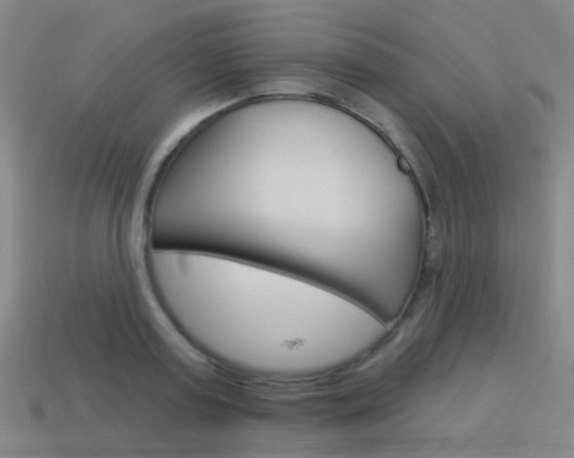 X0000114160795200910081132
