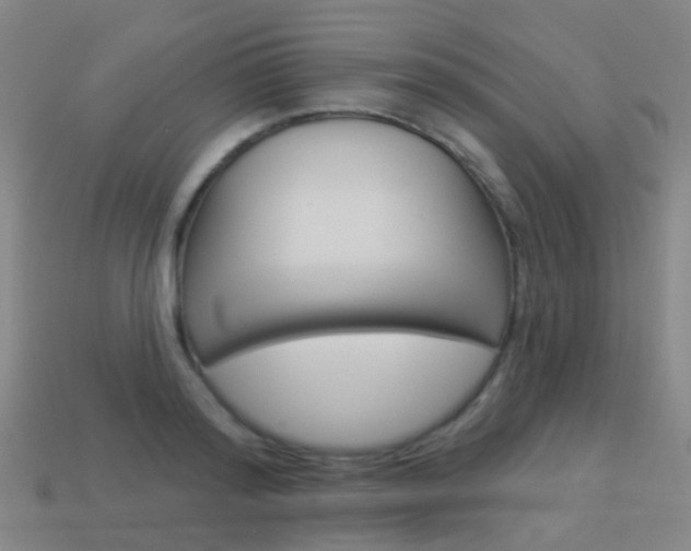 X0000114160796200910081132