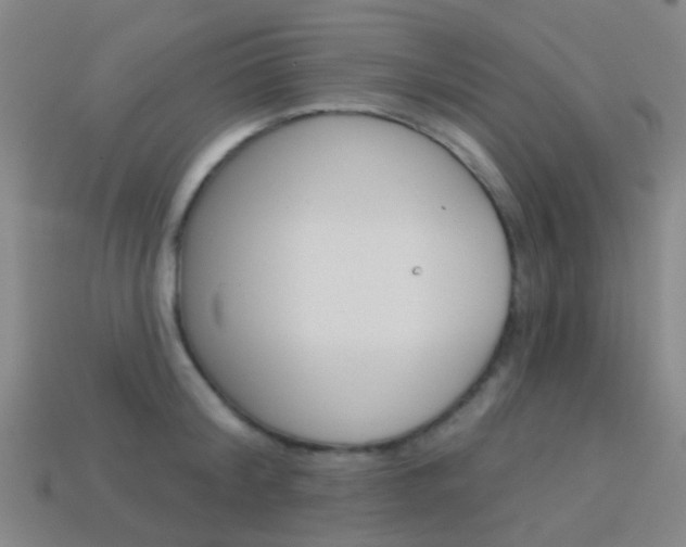 X0000114160804200910081132