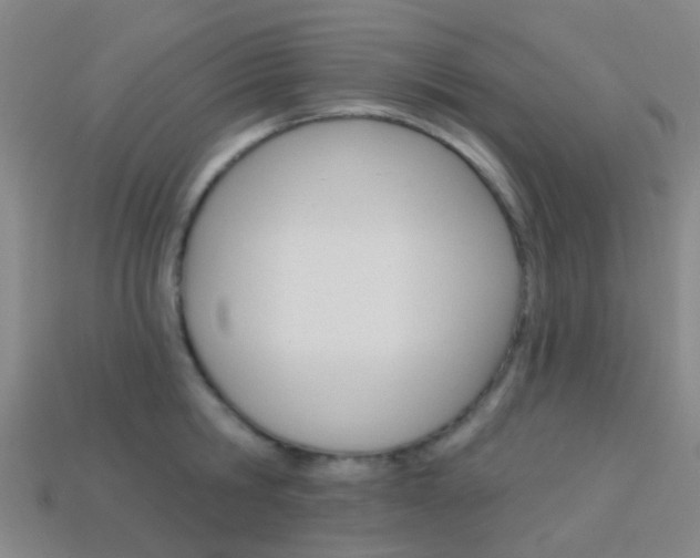 X0000114160806200910081132
