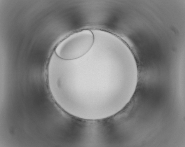 X0000114160807200910081132