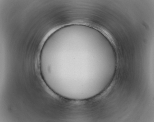 X0000114160808200910081132