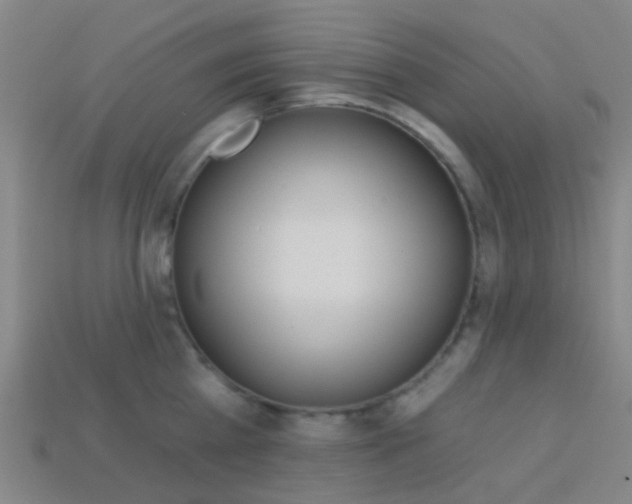 X0000114160809200910081132