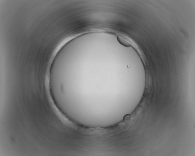 X0000114160811200910081132