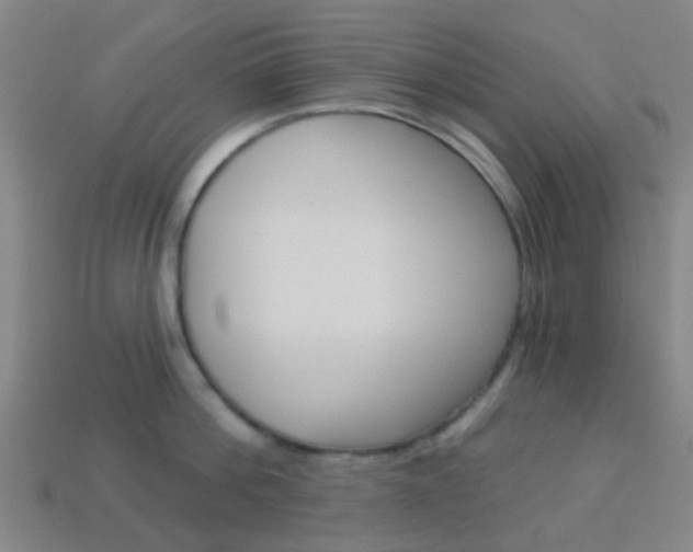 X0000114160812200910081132
