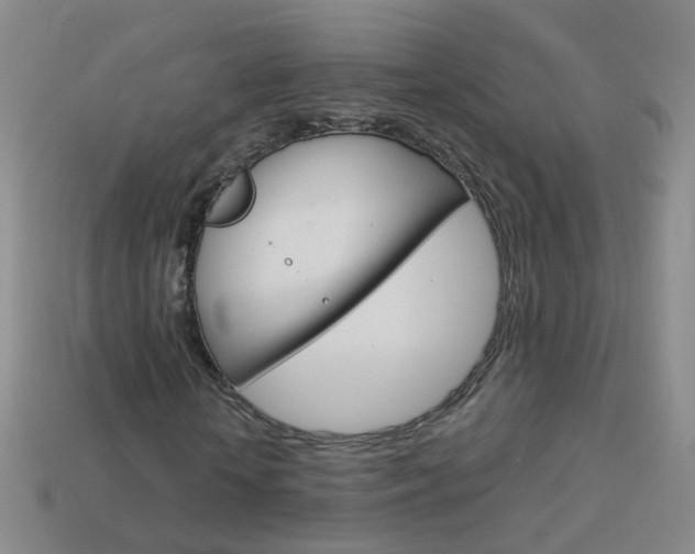 X0000114160818200910081132